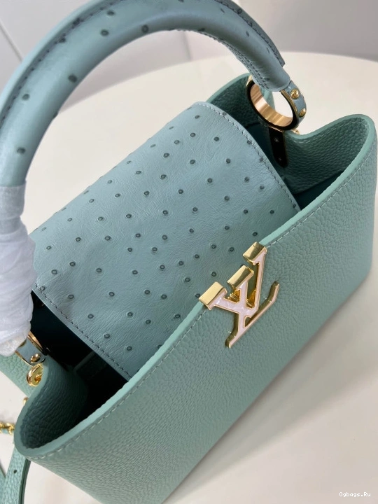 VUITTON CAPUCINES LOUIS MM-33*19*9CM 1228